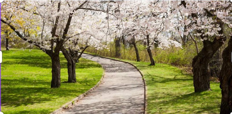 Hafta parçalı bulutlu başlıyor, sıcaklık 22 dereceye kadar yükseliyor. Ancak