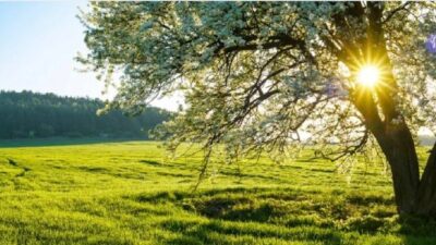 Hafta ortasına kadar hava ısınacak, cuma günü ise yağış geri