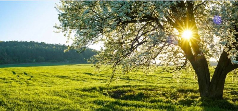 Hafta ortasına kadar hava ısınacak, cuma günü ise yağış geri