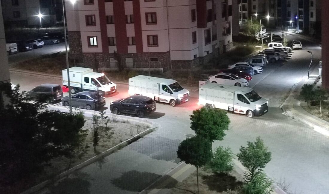 Sokak köpekleri toplandı Seferihisar’ın farklı mahallelerinden Gerçek Seferihisar’a peş peşe