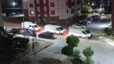 Sokak köpekleri toplandı Seferihisar’ın farklı mahallelerinden Gerçek Seferihisar’a peş peşe