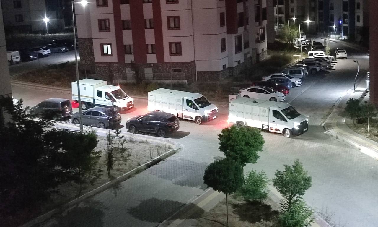 Sokak köpekleri toplandı Seferihisar’ın farklı mahallelerinden Gerçek Seferihisar’a peş peşe