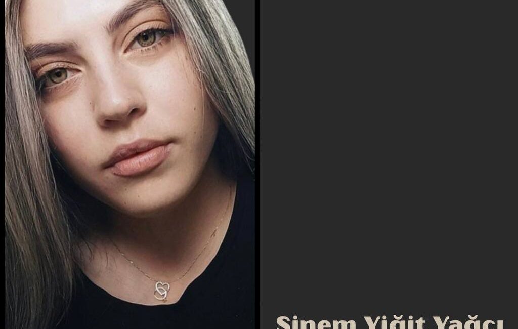 Bir evin duvarında çatlak vardı.   Kimse o çatlağı kapatmak